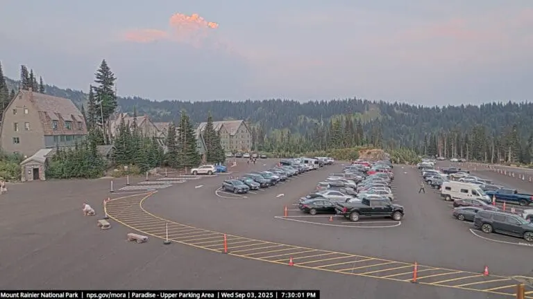 Wildcat Fire Thunderstorm