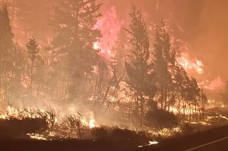Labor Mountain Fire
