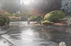 Rain in Port Angeles.