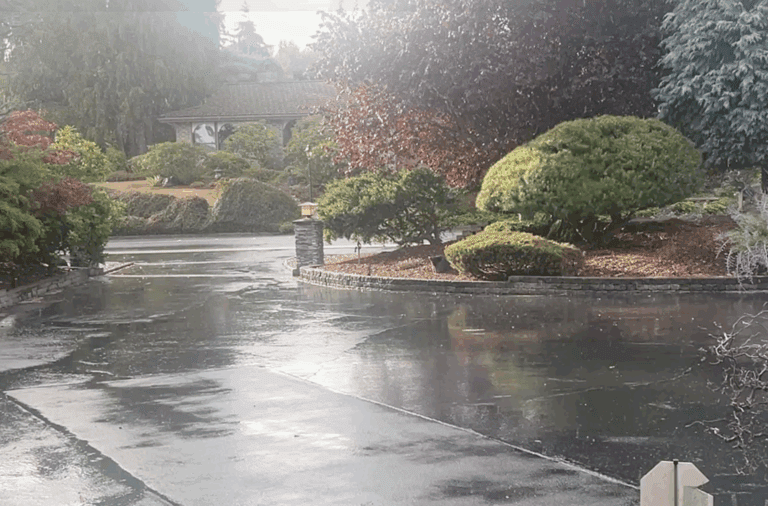 Rain in Port Angeles.