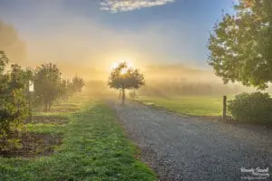 Sun rises in Everson, Wash. on Sept. 30, 2025.