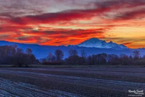 Lynden Sunrise