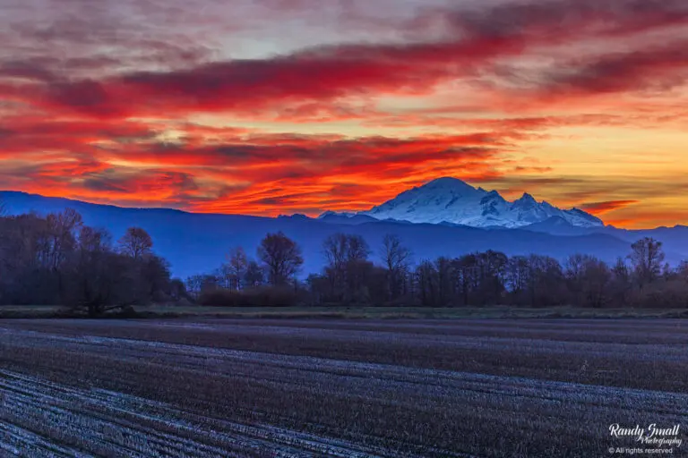 Lynden Sunrise