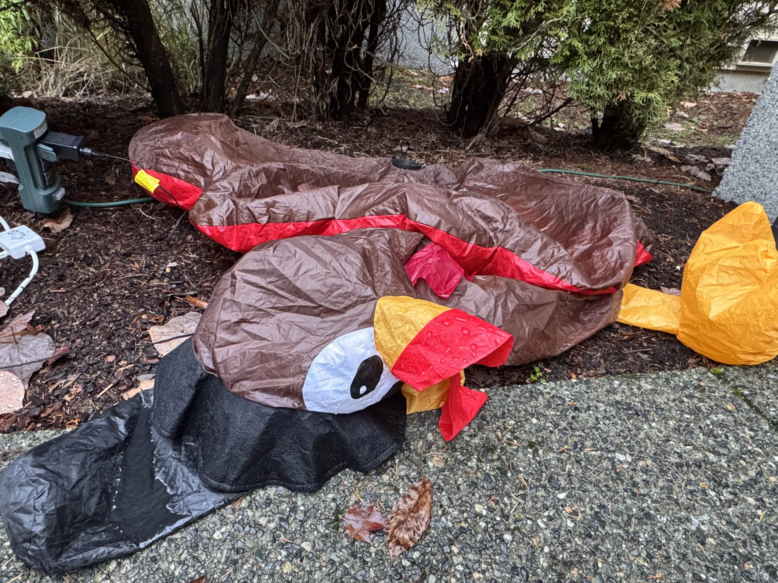 Deflated Turkey