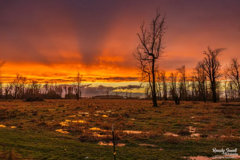 Sunset in Lynden
