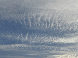 Cirrostratus clouds form over Snohomish County on Nov. 19, 2025.