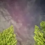 Northern Lights across Pacific Northwest on Nov. 11, 2025.