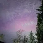 Northern Lights across Pacific Northwest on Nov. 11, 2025.