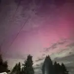 Northern Lights across Pacific Northwest on Nov. 11, 2025.
