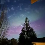 Northern Lights across Pacific Northwest on Nov. 11, 2025.