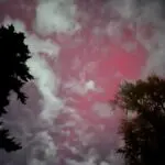 Northern Lights across Pacific Northwest on Nov. 11, 2025.