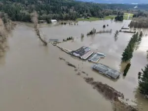 Flooding along Snoqualmie River in Fall City on Dec. 9, 2025.