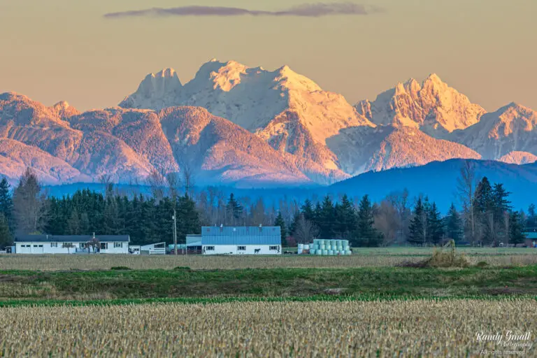Frosty morning in Everson, WA