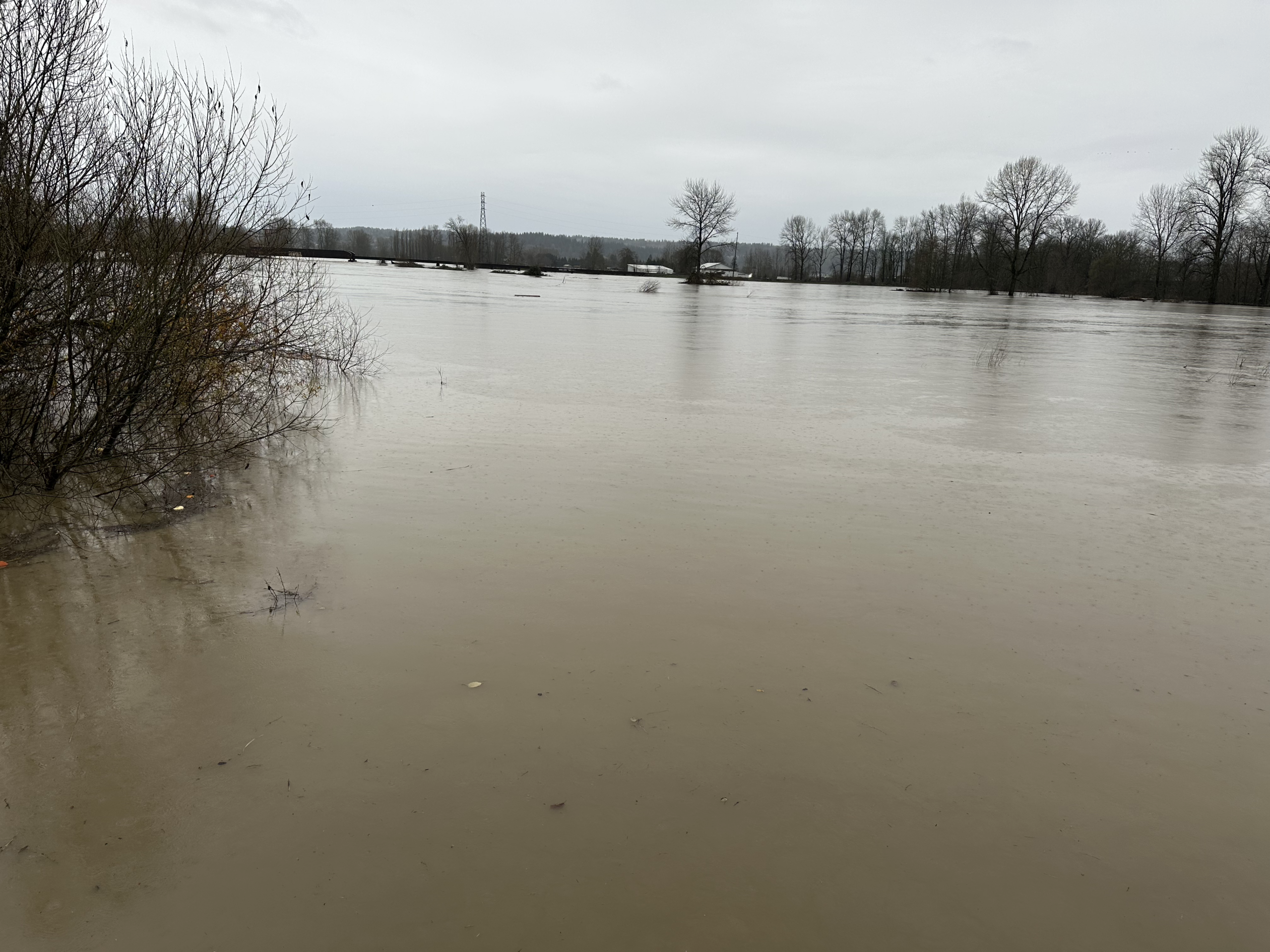 Flooding along Snohomish River in Snohomish (Photo: Andrew Orr)