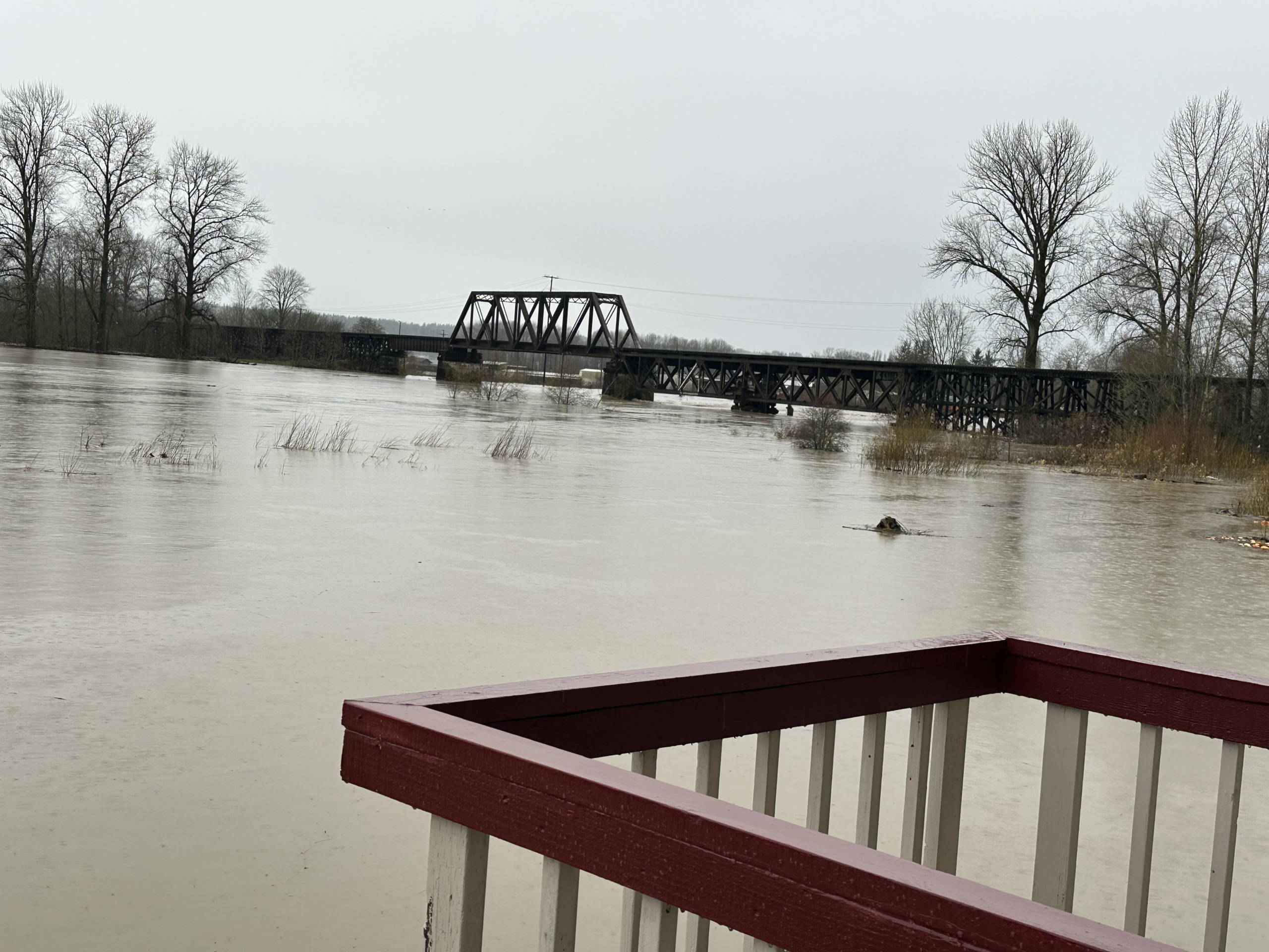 Flooding along Snohomish River in Snohomish (Photo: Andrew Orr)