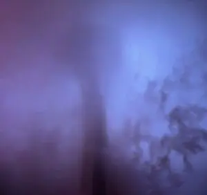 Seattle in the fog on Jan. 1, 2026