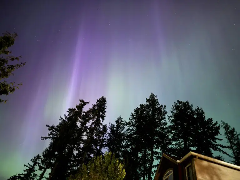 Northern Lights