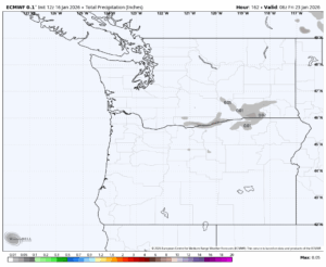 Accumulated rain forecast through Jan. 22