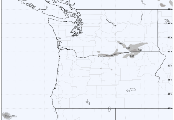 Accumulated rain forecast through Jan. 22
