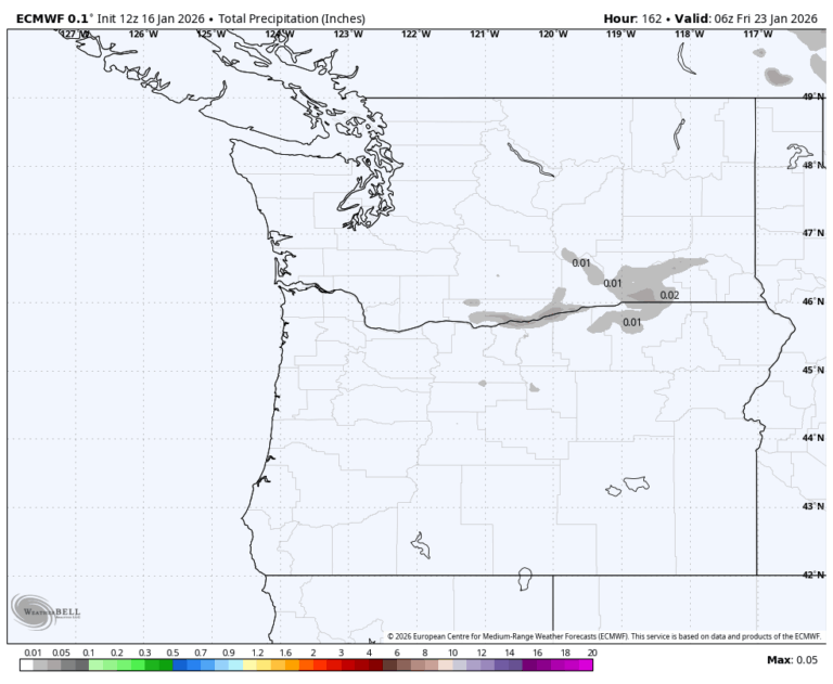 Accumulated rain forecast through Jan. 22