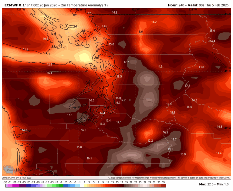 ECMWF High temperature anomaly map for Feb. 4, 2026.
