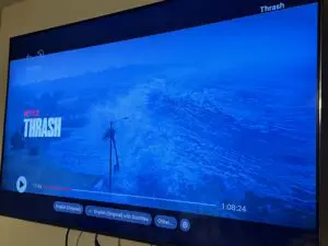 Screen capture of Netflix's movie Thrash