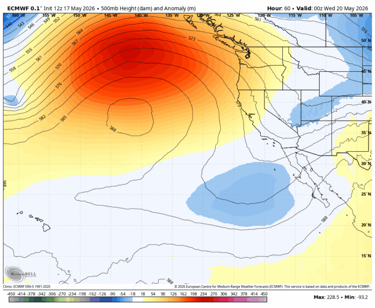 ECMWF model of 500 mb heights showing a ridge of high pressure (that orange blob) parked in the sweet spot off our coast.