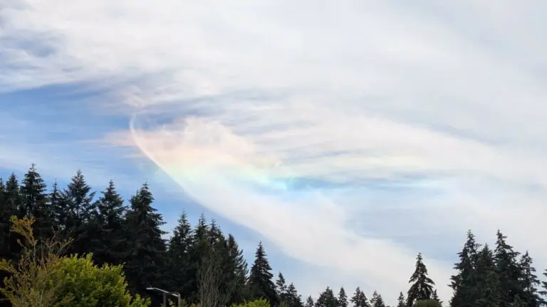 Circumhorizontal arc over Western Washington