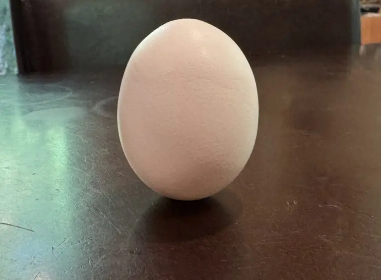 Egg standing on its end