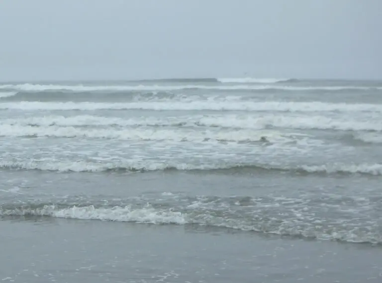 Oregon Coast Waves
