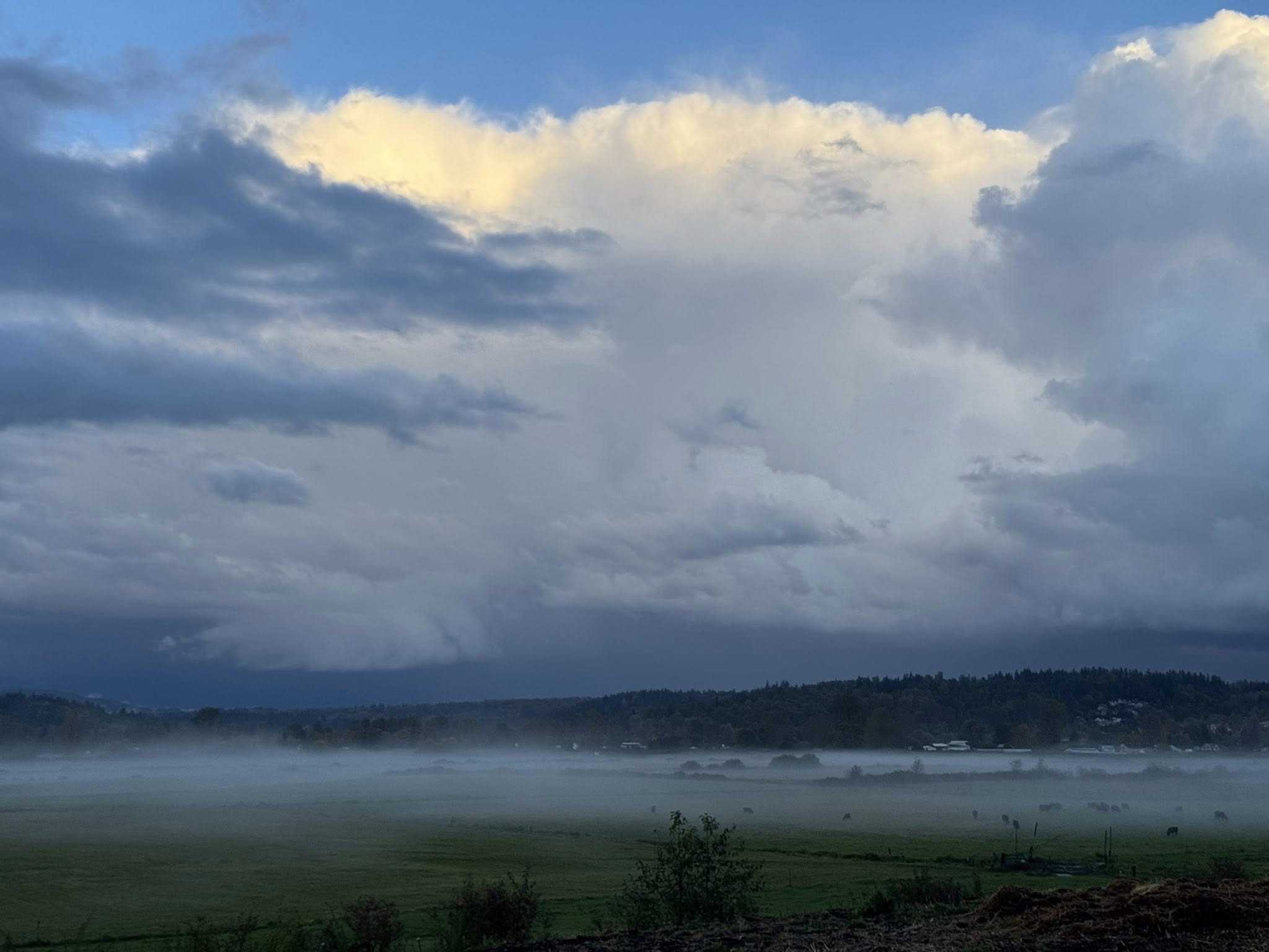 Hail Fog near Duvall