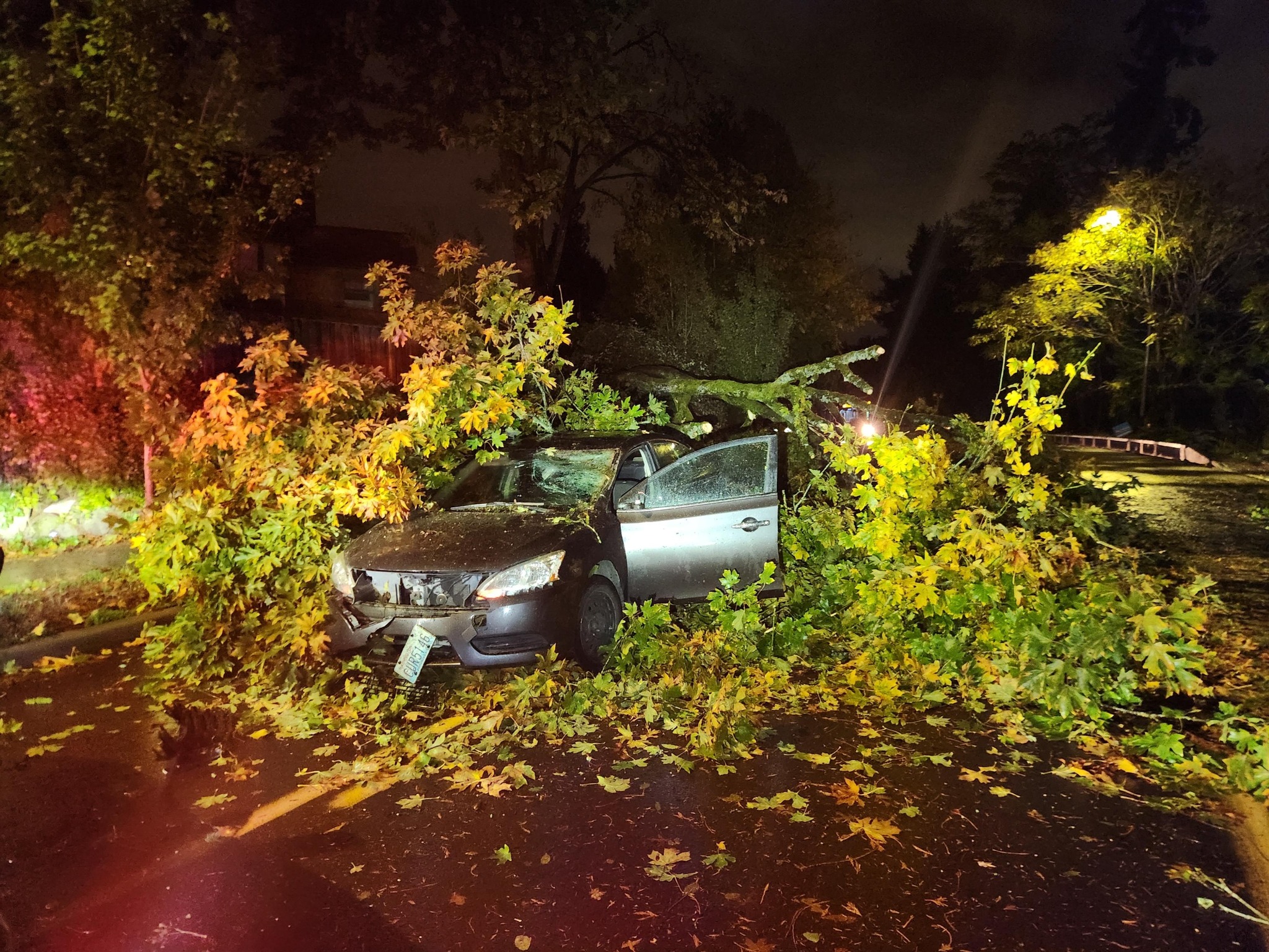 Oct. 25 Seattle area WindStorm