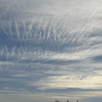 Cirrostratus clouds form over Snohomish County on Nov. 19, 2025.