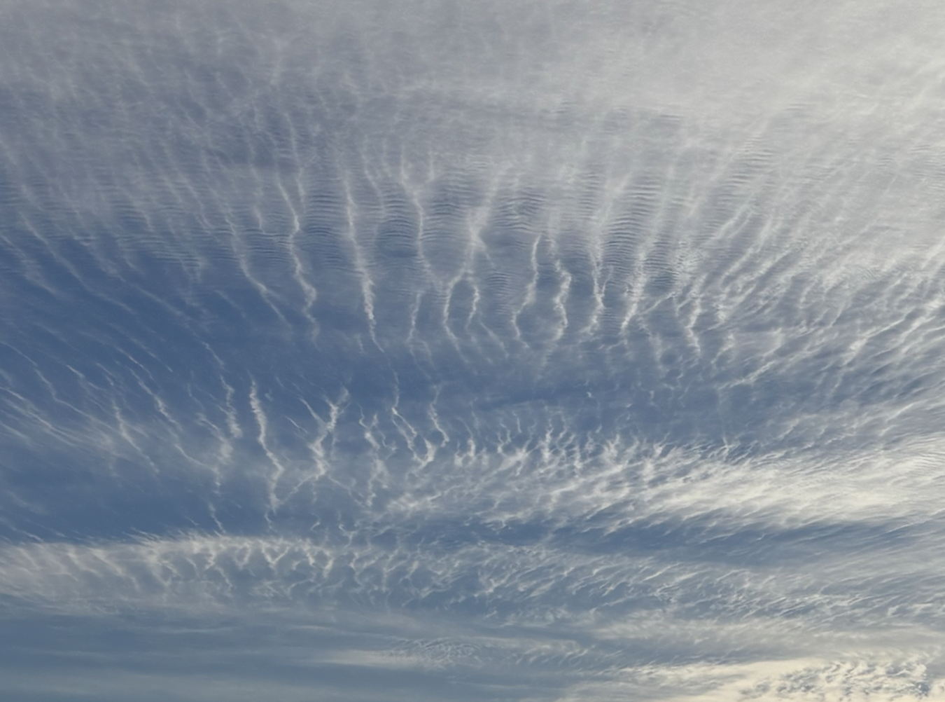 Cirrostratus clouds form over Snohomish County on Nov. 19, 2025.