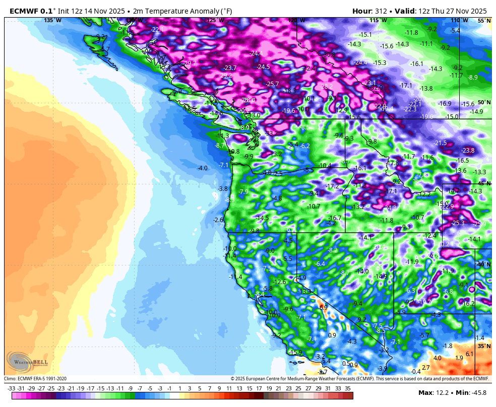 ECMWF Temperature Anomaly