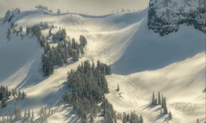 Snow in the Cascades