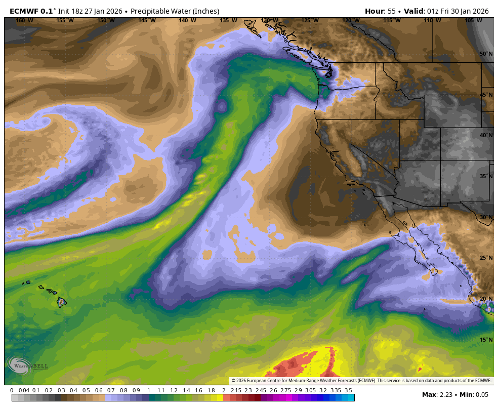 ECMWF Moisture map