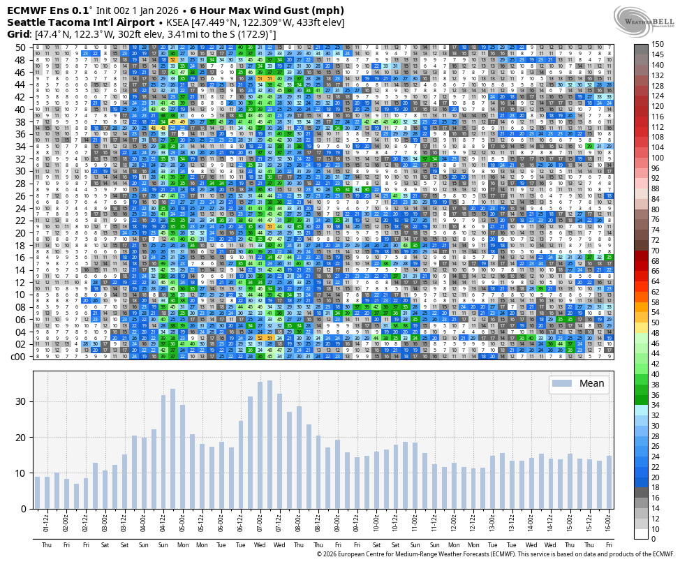 Euro Ensemble Model Run