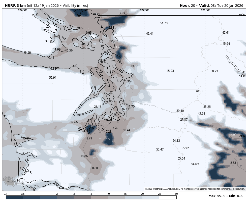 Visibility forecast for night of Jan. 19.