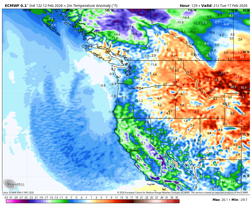 ECMWF model showing predicted temperature anomalies (Blue/green/purple = cooler than average)