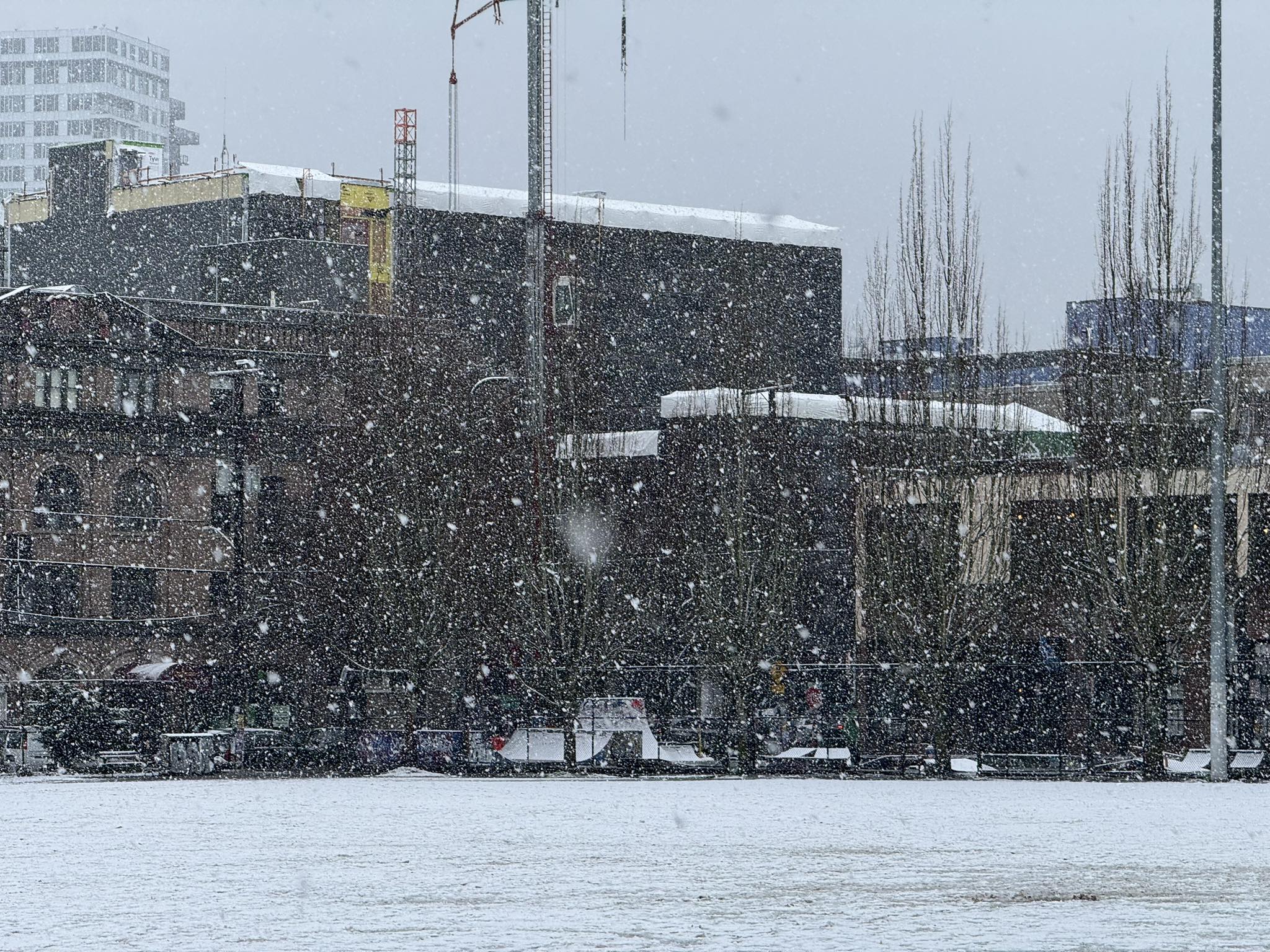 Snow falls on Seattle's Capitol Hill on March 13, 2026. (Photo: Benjamin Jurkovich)