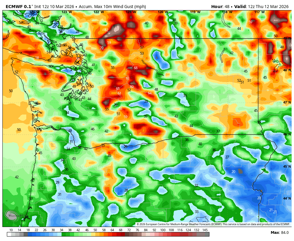 ECMWF predicted peak wind gusts for Wednesday