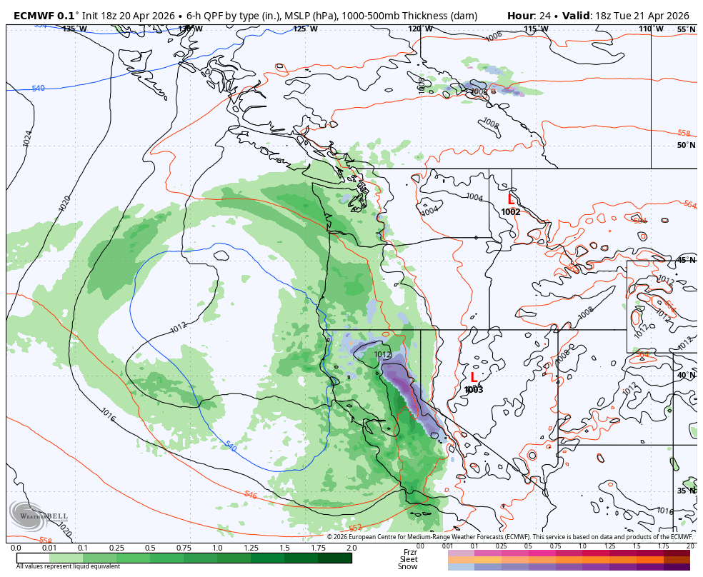 ECMWF map showing a broad low pressure area off the CA coast.