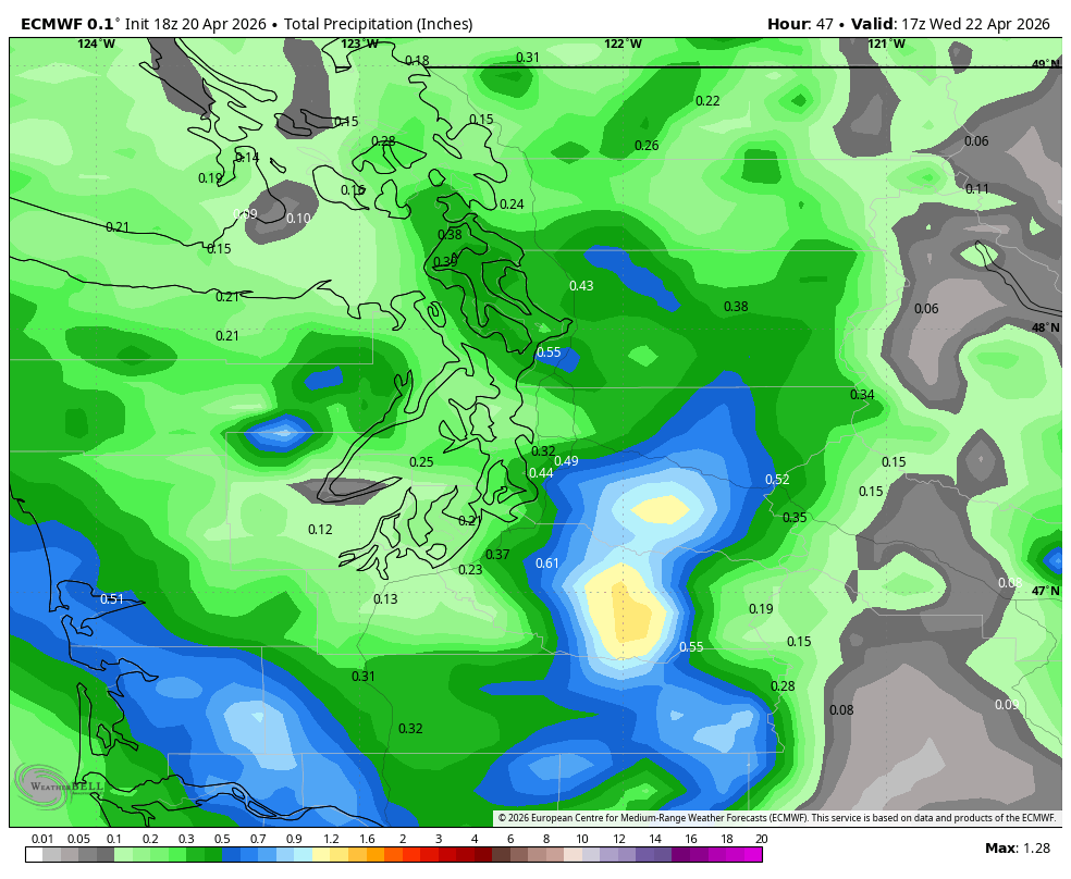 ECMWF map showing predicted rainfall through midday Wednesday.