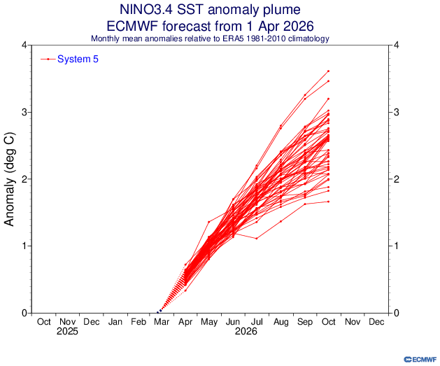 ECMWF ENSO forecast