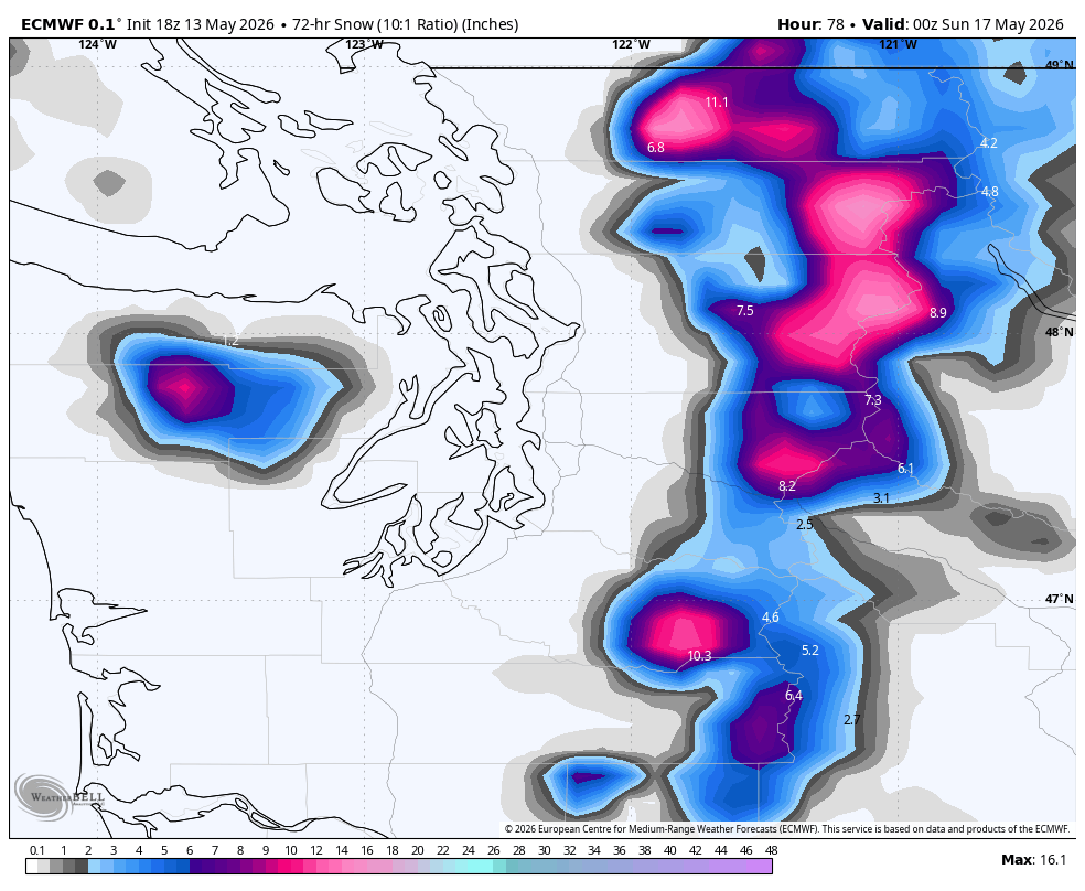 ECMWF predicted 48 hr snowfall Friday + Saturday. (WeatherBell)