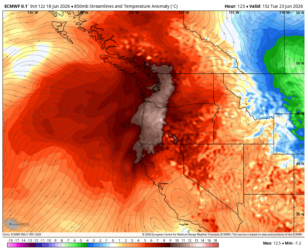 ECMWF 850 mb temp anomaly