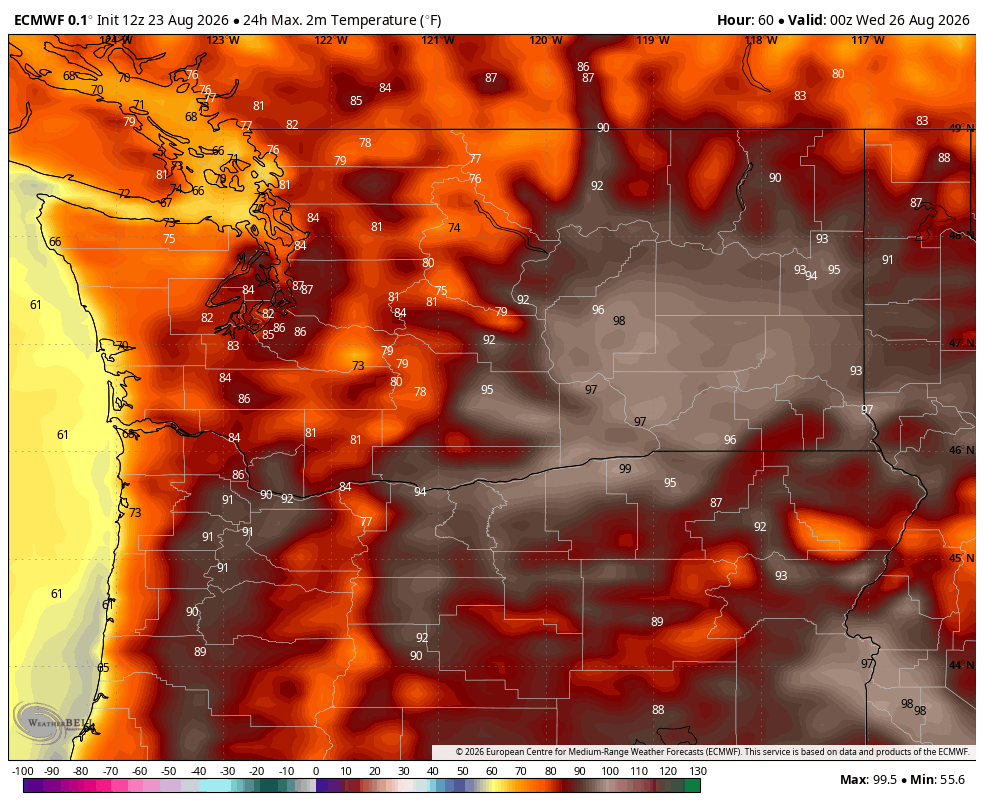 Washington Heat