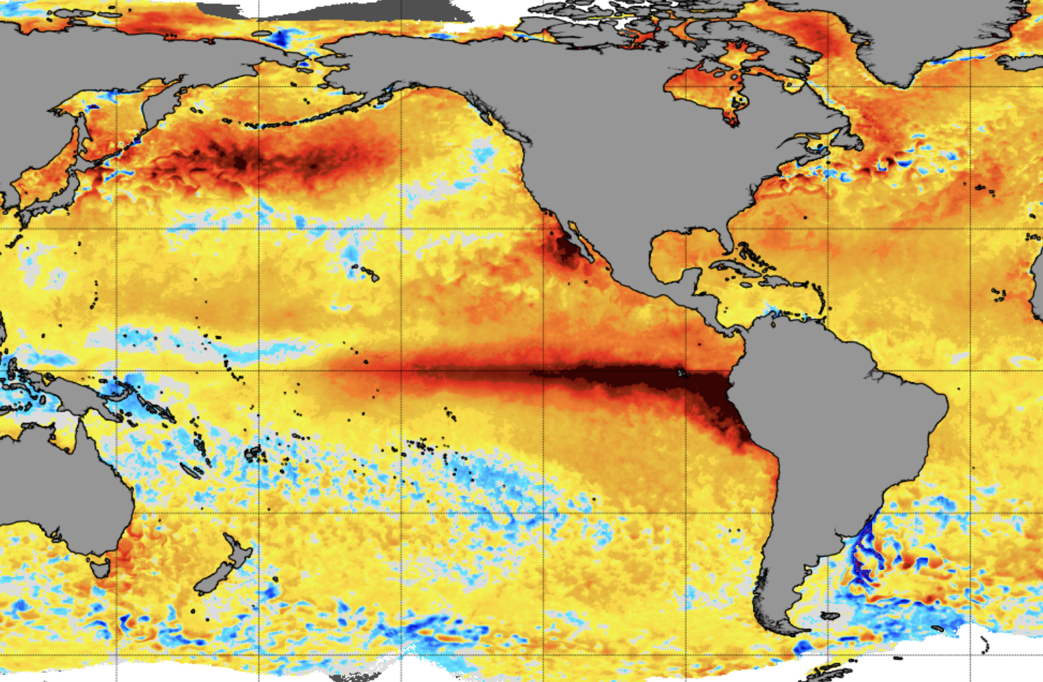 Current Sea Surface Temperature anomaly showing a distinct warm El Nino event under way (NOAA)