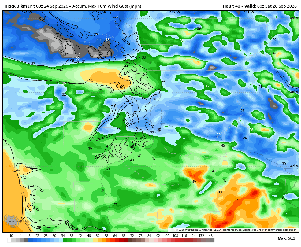 HRRR model showing predicted peak wind gusts by Friday afternoon in Western Washington.